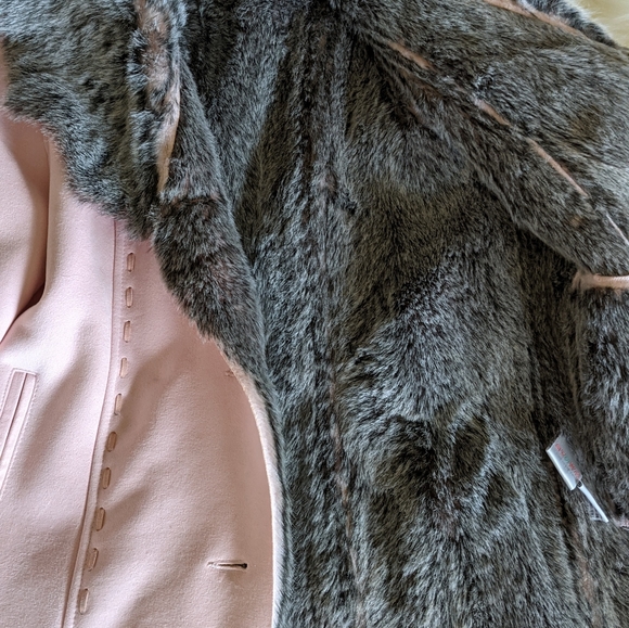 Betas Choice - Picture 3 of 7